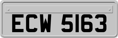 ECW5163