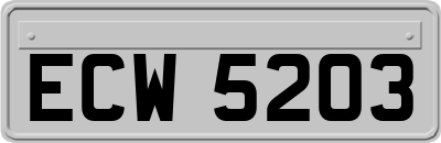 ECW5203