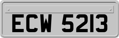 ECW5213