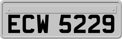 ECW5229