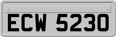 ECW5230