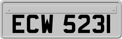 ECW5231