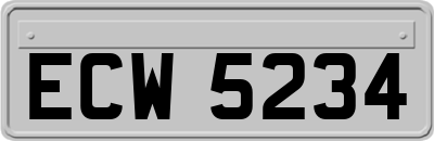 ECW5234