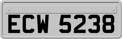 ECW5238