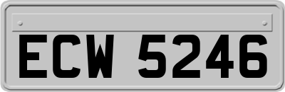 ECW5246