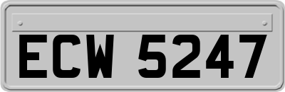 ECW5247
