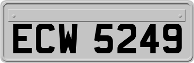 ECW5249