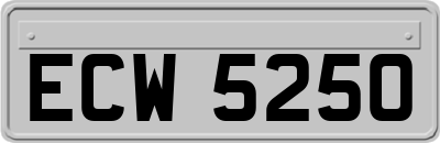 ECW5250