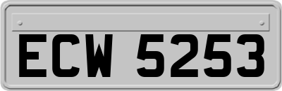 ECW5253