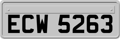 ECW5263