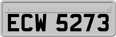 ECW5273