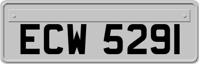 ECW5291