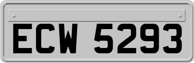 ECW5293