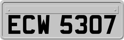 ECW5307