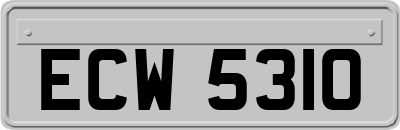 ECW5310