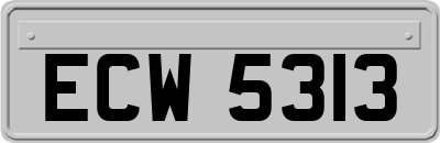 ECW5313