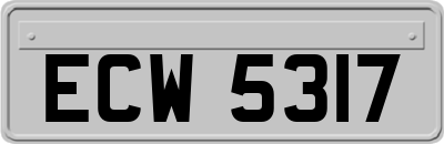 ECW5317