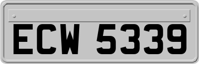 ECW5339