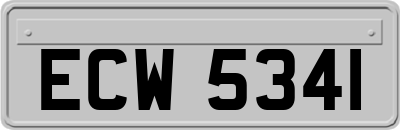 ECW5341