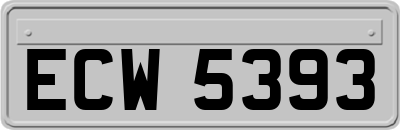 ECW5393