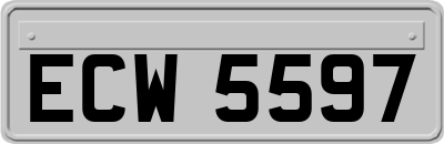 ECW5597