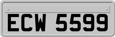 ECW5599