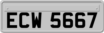 ECW5667
