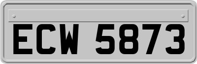 ECW5873