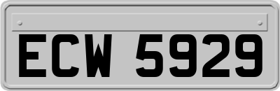 ECW5929
