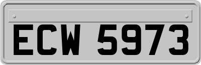 ECW5973
