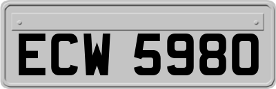ECW5980