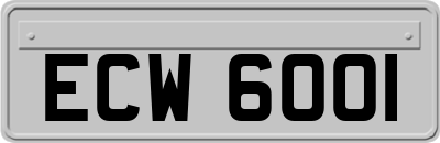 ECW6001