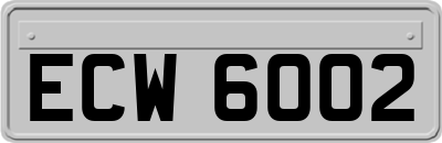 ECW6002