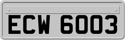 ECW6003