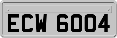 ECW6004