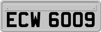 ECW6009