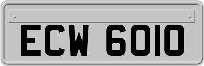 ECW6010