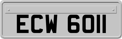 ECW6011