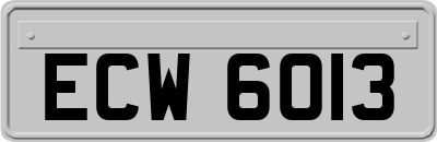 ECW6013