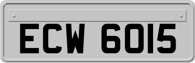 ECW6015