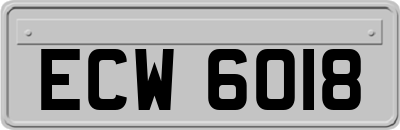ECW6018