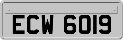 ECW6019
