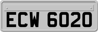 ECW6020