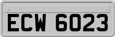 ECW6023