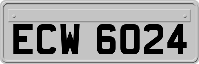ECW6024