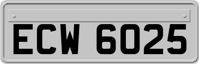 ECW6025