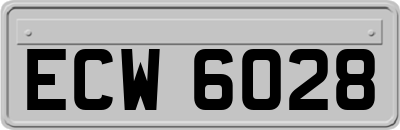 ECW6028