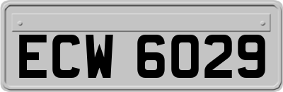 ECW6029