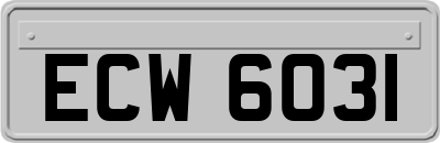 ECW6031