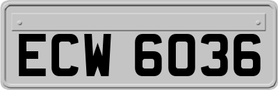 ECW6036